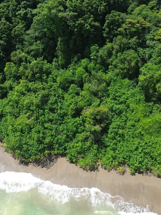 Costa Rica route: dense rainforest meeting a Pacific beach from above