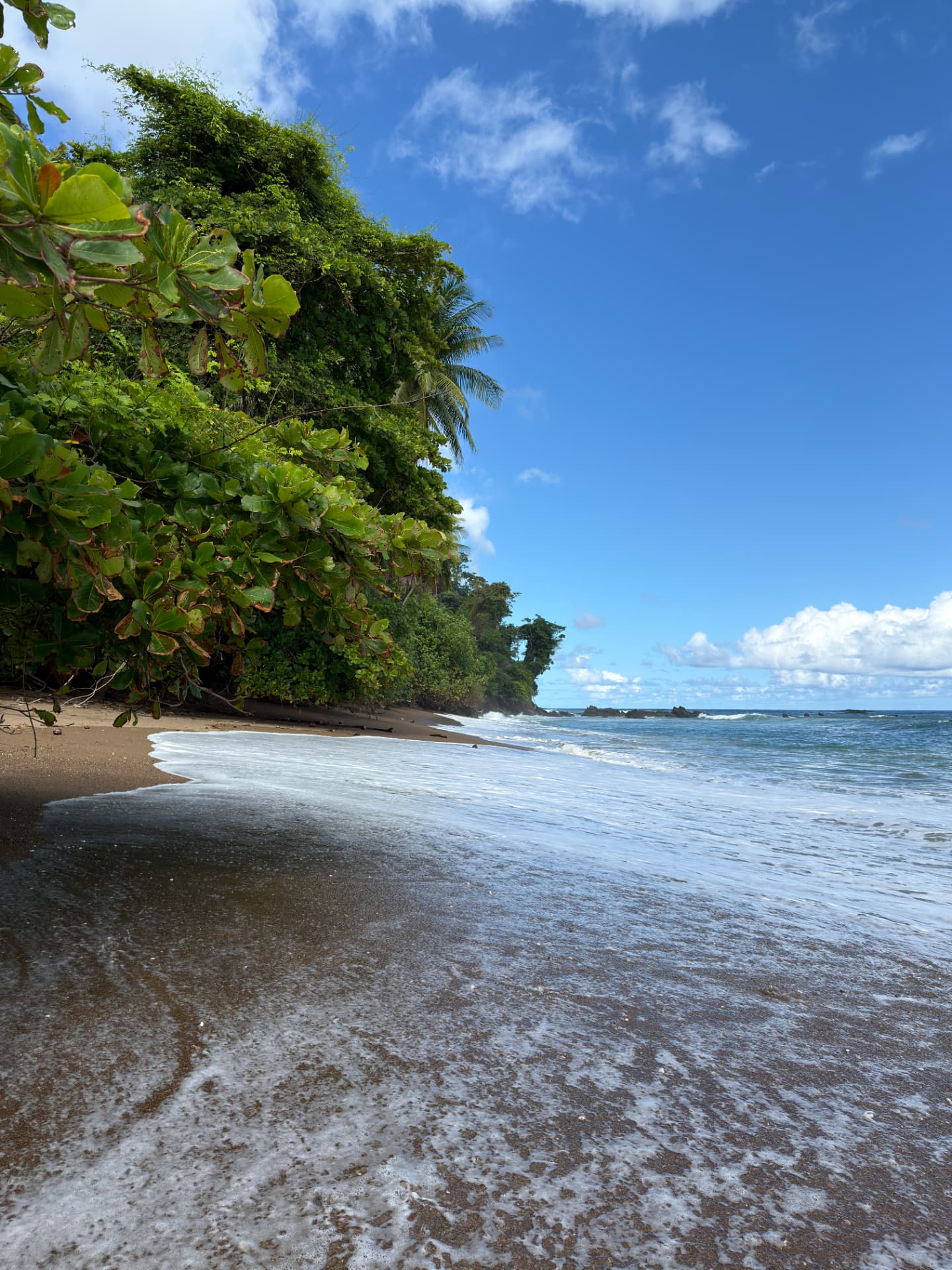 Waves washing over a wild tropical beach under a blue sky