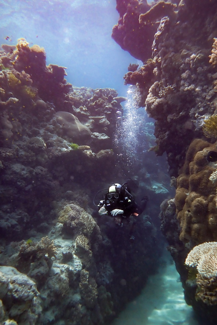Scuba diver swimming through a coral passage