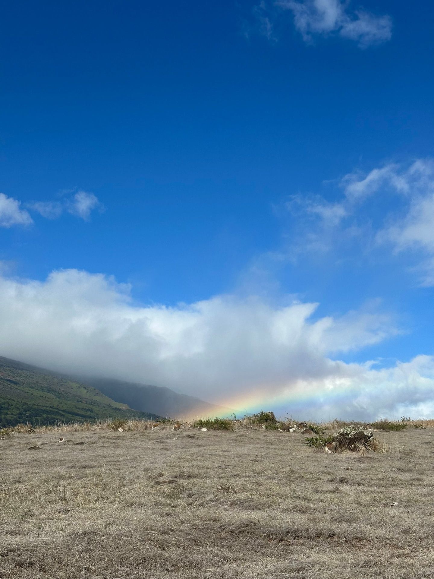 A rainbow over dry golden grassland with a cloud-wrapped green mountain