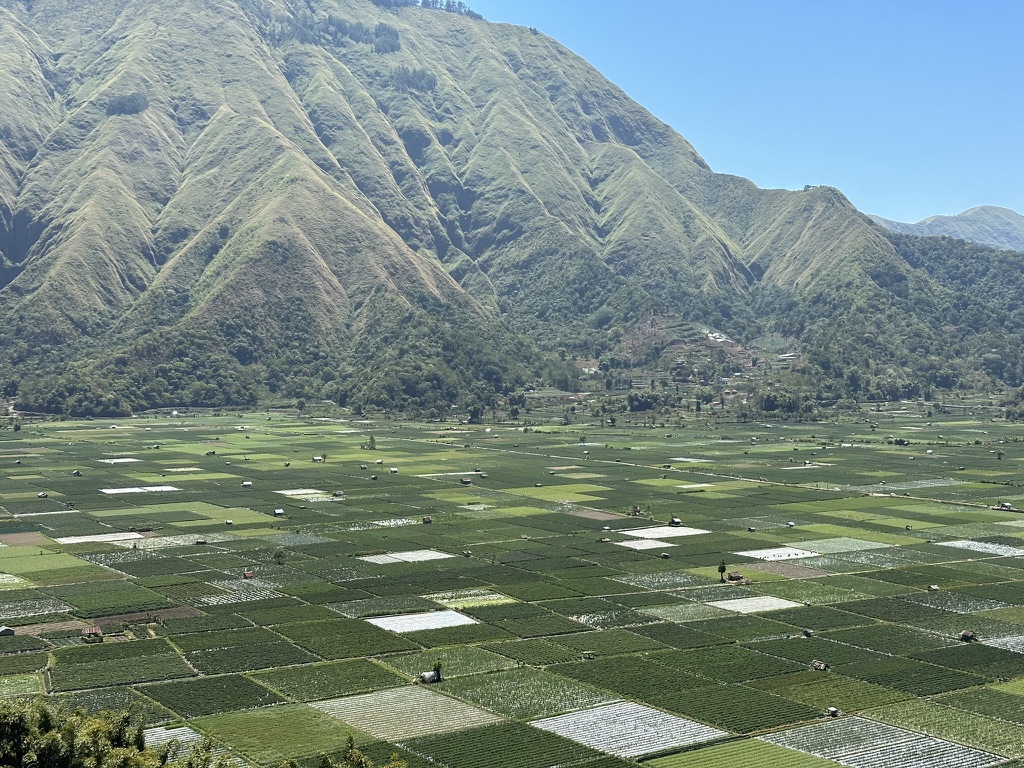 Patchwork fields spread across a mountain valley