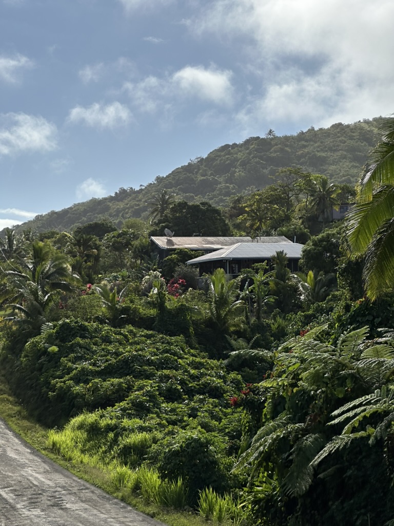 Rainforest hillside village above a rough island road
