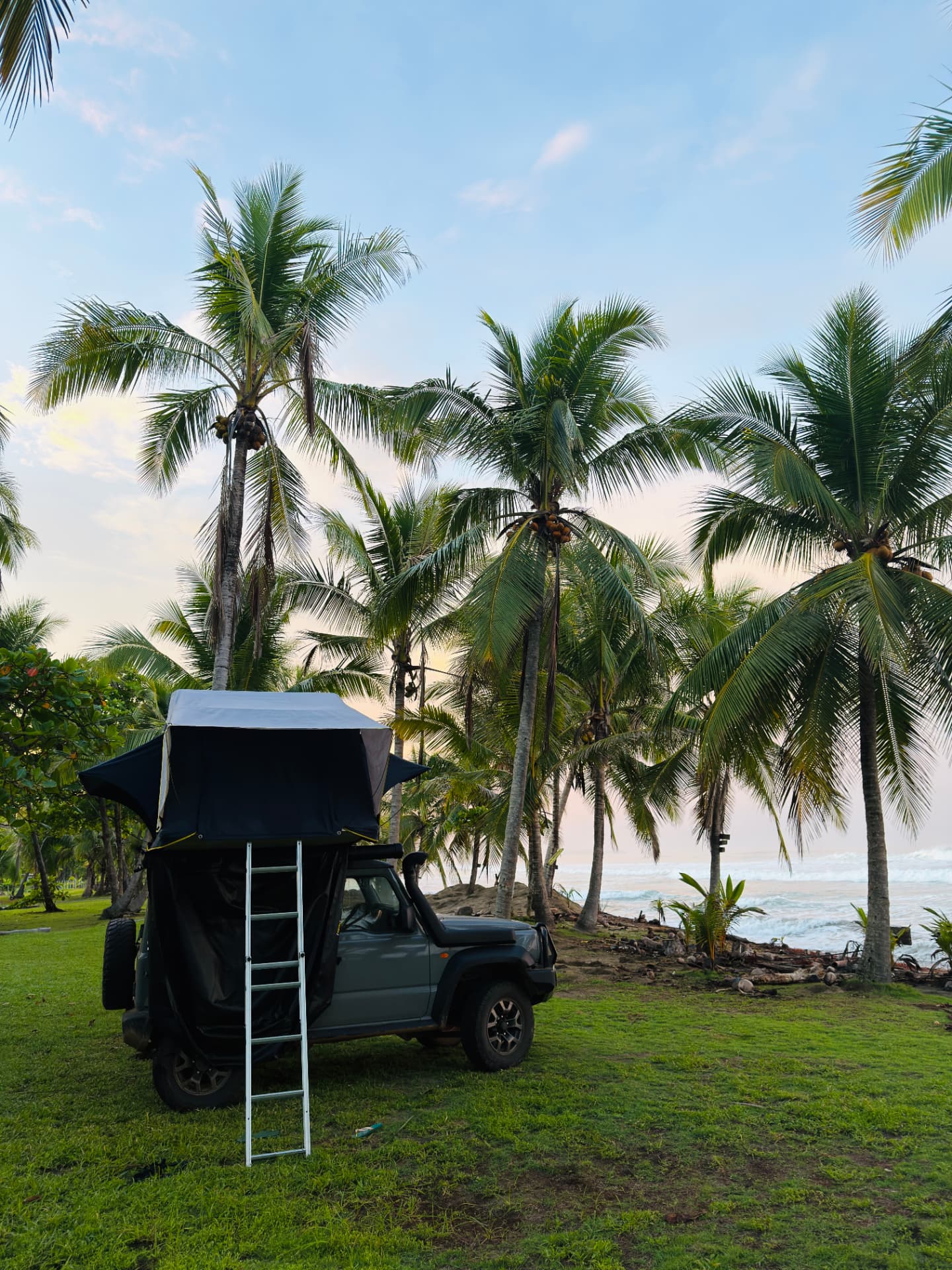 Rooftop-tent four-wheel drive camp under palms at dusk