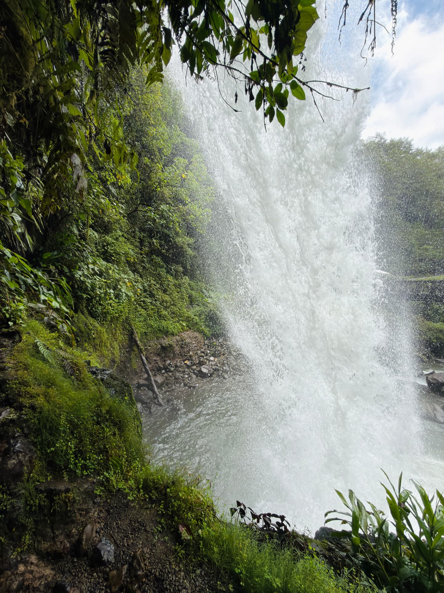 Waterfall spray thundering into a jungle ravine