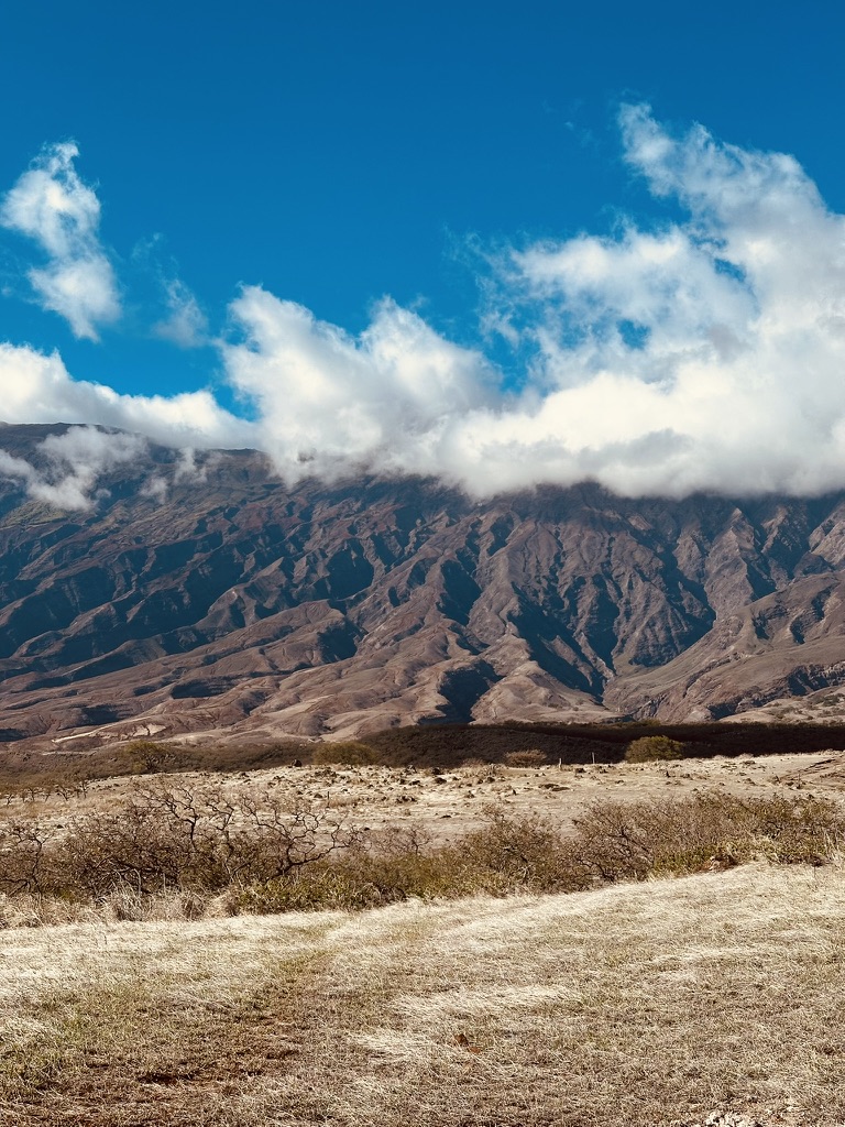 Sunlit dry ridgelines of a leeward mountain range above golden fields