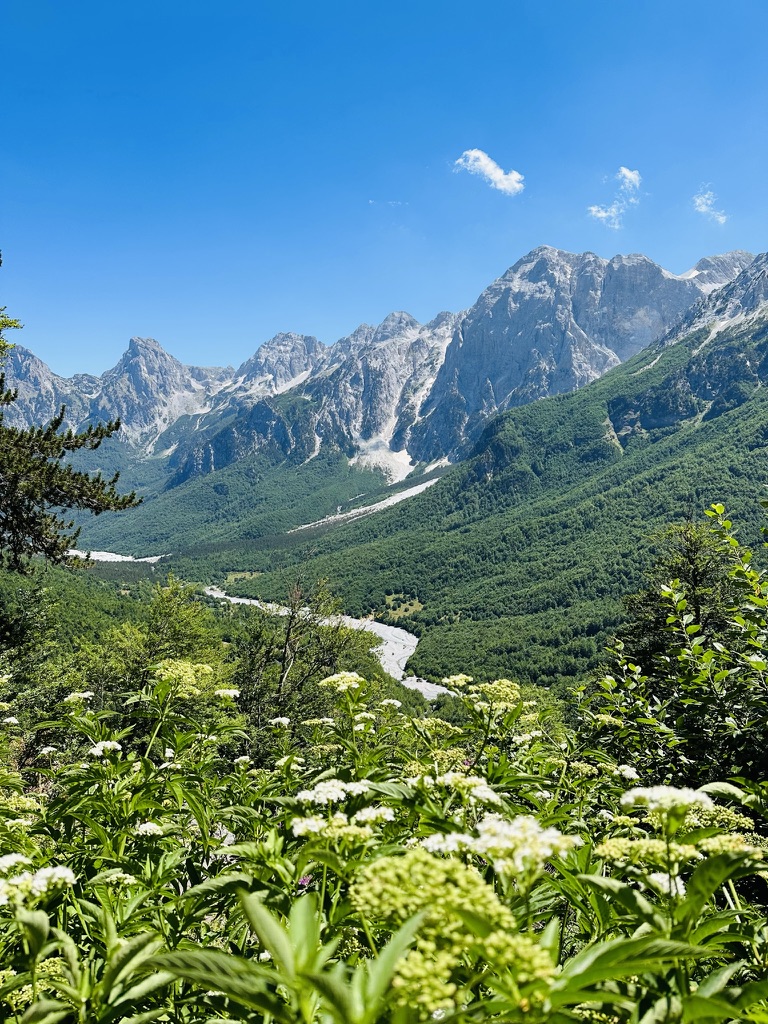 Snow-dusted peaks above a winding river valley framed by wildflowers