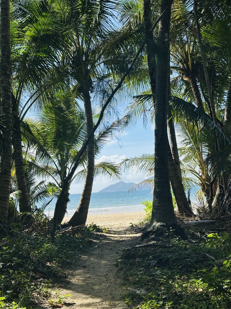 Sandy path through palms opening onto a tropical beach