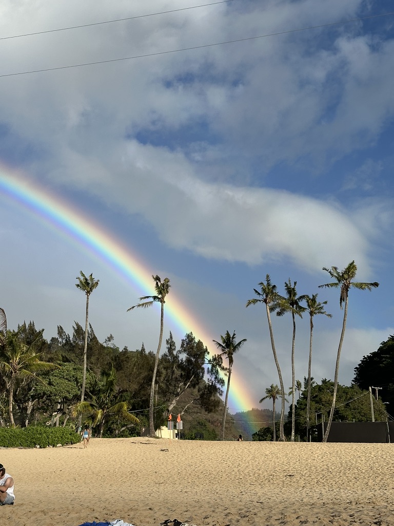Hawaiian Islands route