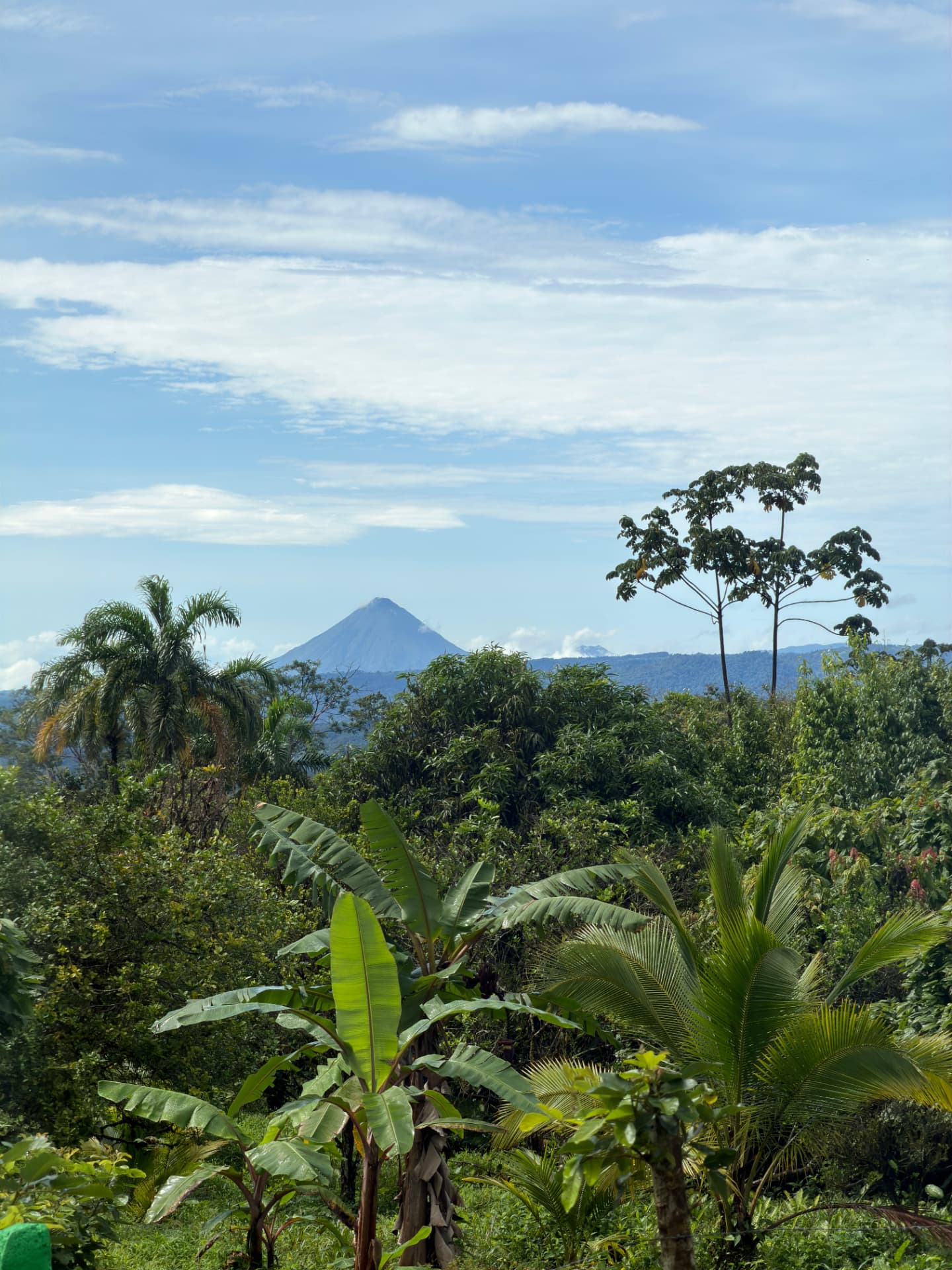 Volcano rising above the rainforest canopy
