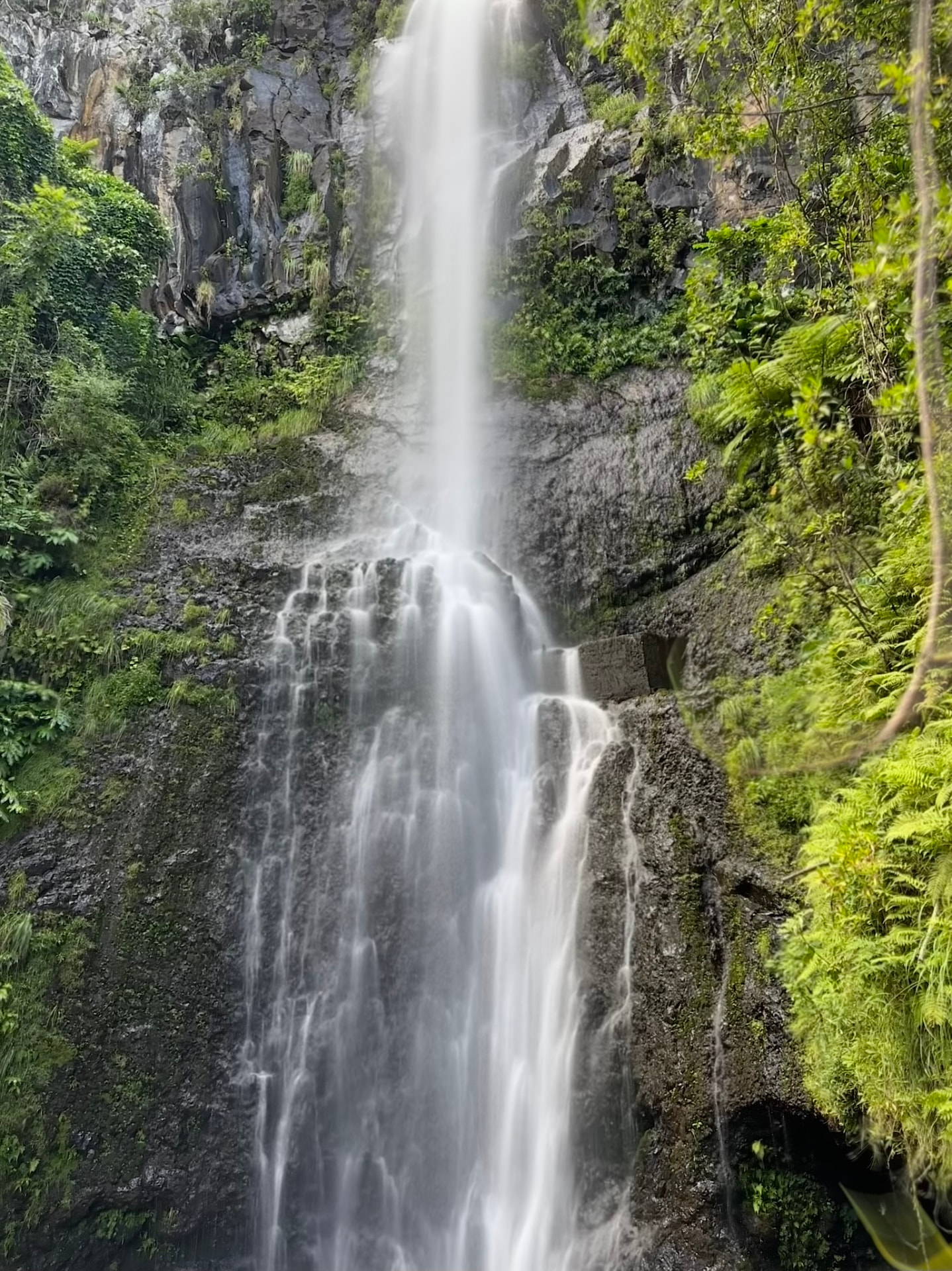 A tall waterfall pouring down a mossy fern-covered rock face