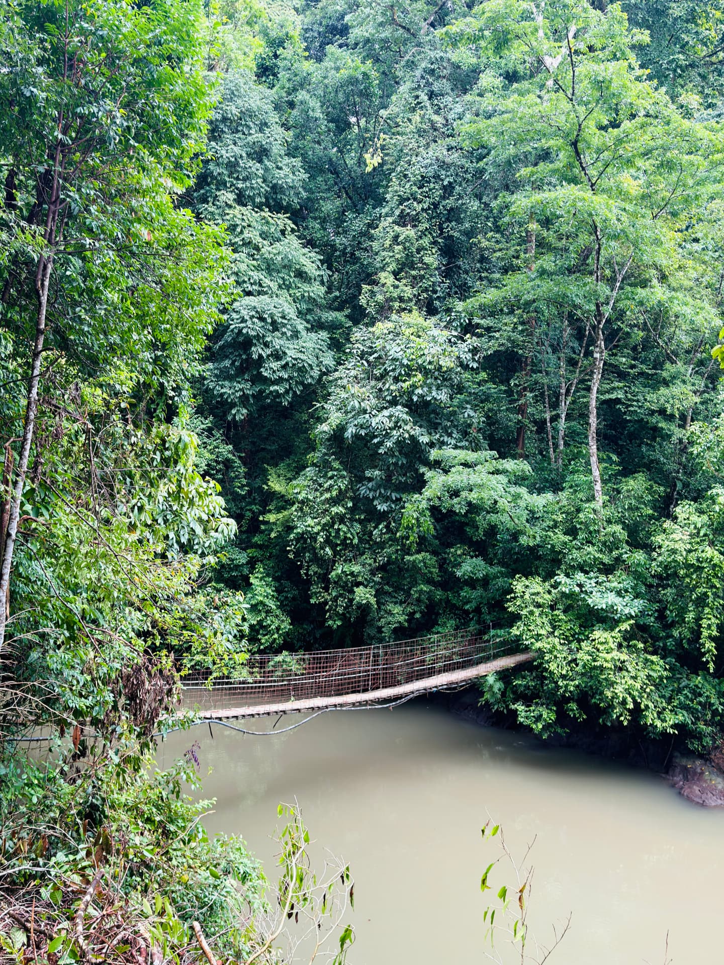 Footbridge swaying across a jungle river