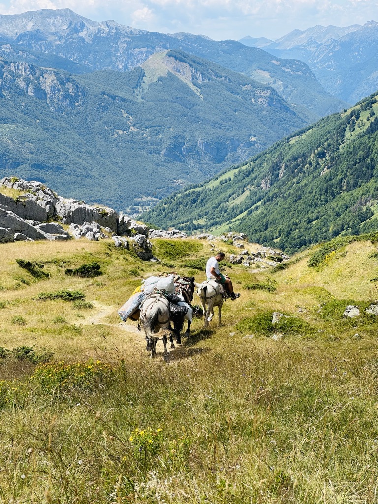 Pack horses and their rider crossing a green hillside above a valley