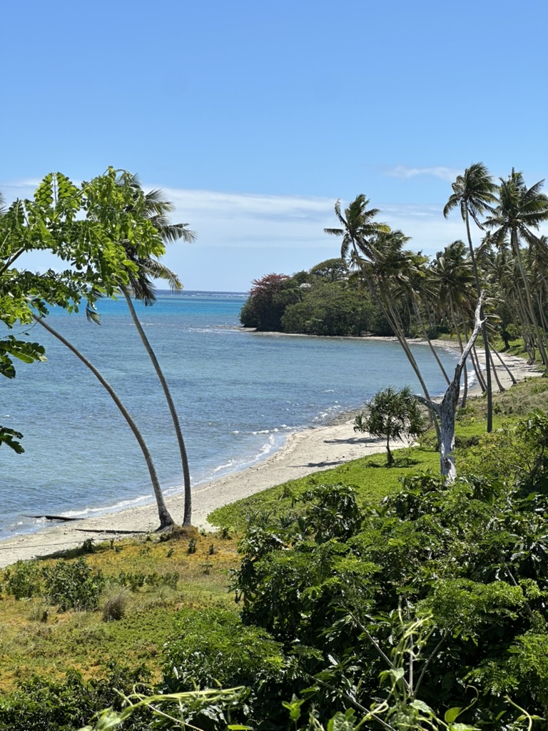 Palm-lined bay with white sand and turquoise shallows
